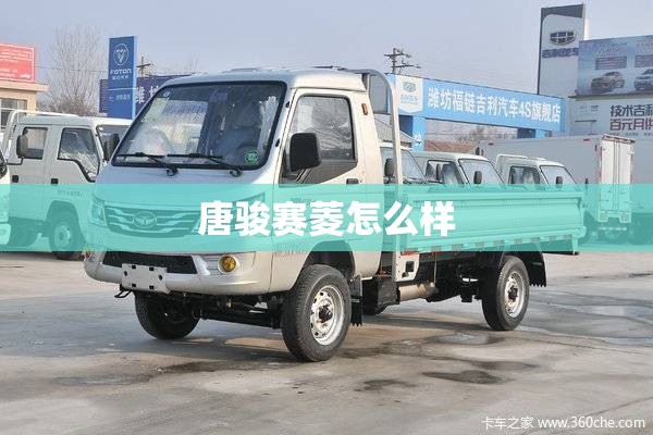 唐骏赛菱怎么样