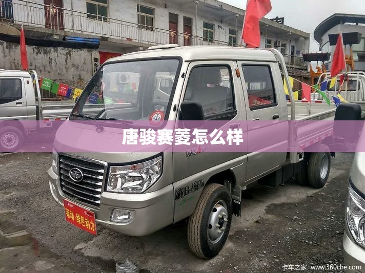 唐骏赛菱怎么样