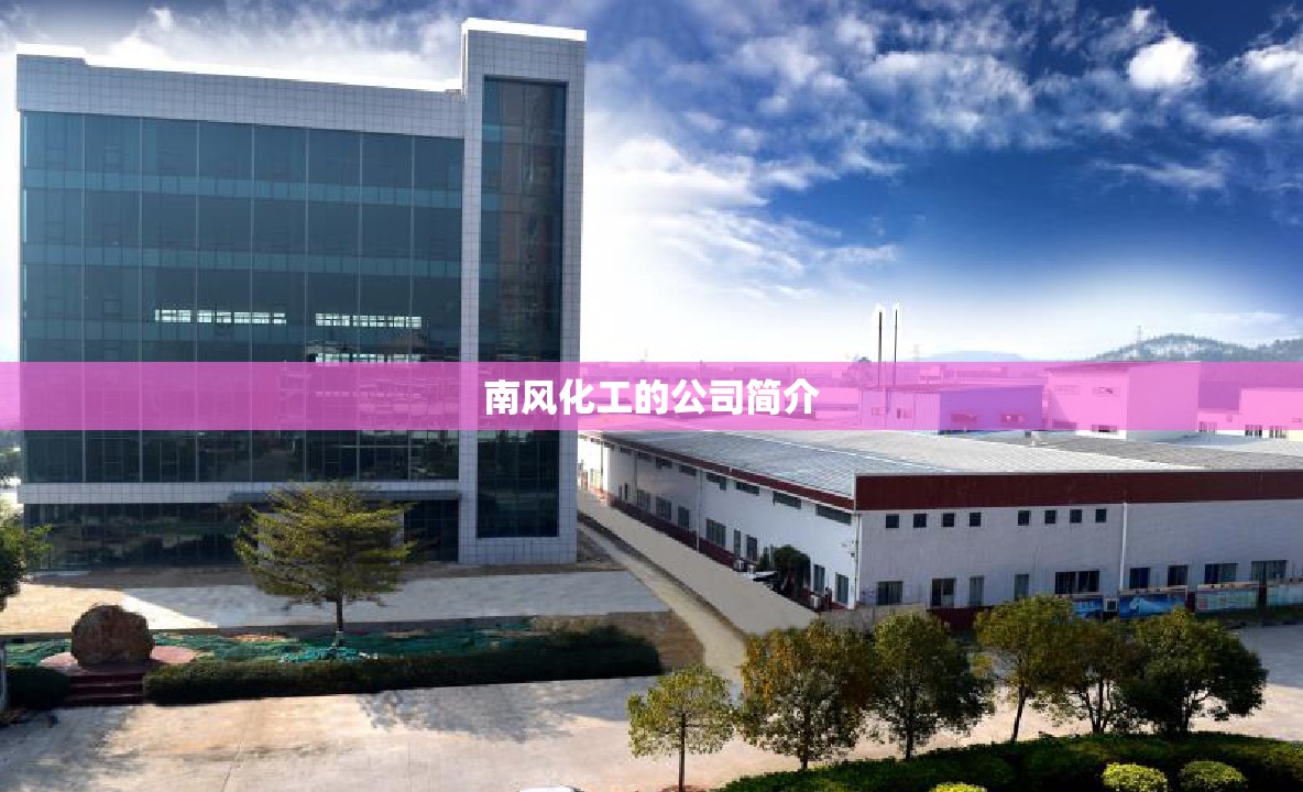 南风化工的公司简介 南风化工的公司简介